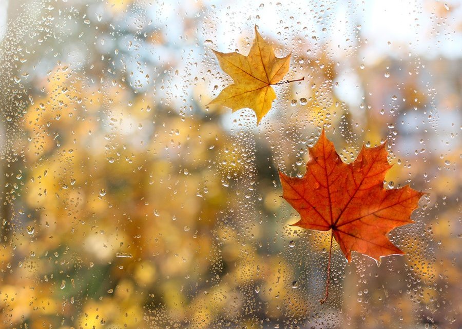 Ночью возможен снег, прогнозируется усиление ветра