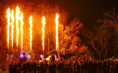 Что ждет на фестивале огня “Феникс в Ботаническом саду: он стартует уже в эти выходные