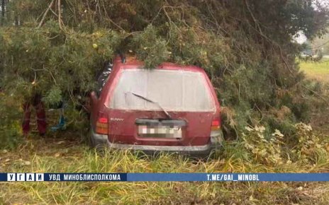 В Дзержинском районе в ДТП погиб водитель