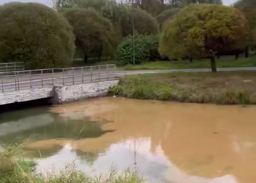 Грязные сточные воды попали в Свислочь в Минске