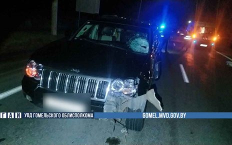 В Мозырском районе насмерть сбили пешехода