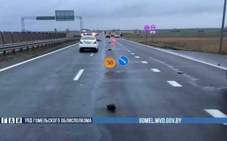 На автодороге М-5 «Минск - Гомель» насмерть сбили пешехода