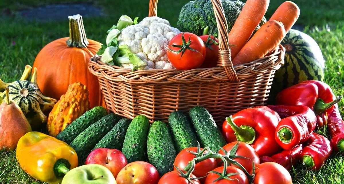 Налоги с урожая: кого обяжут платить 10% за доходы от личного подсобного хозяйства