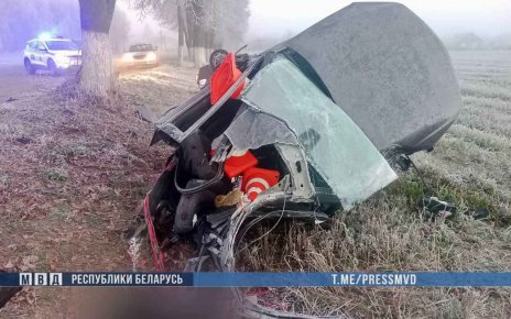 Два человека погибли в аварии на Гомельщине
