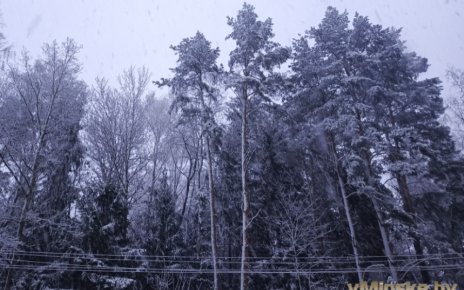 Будет гололед и слабые туманы. Погода на неделю с 25 по 30 ноября