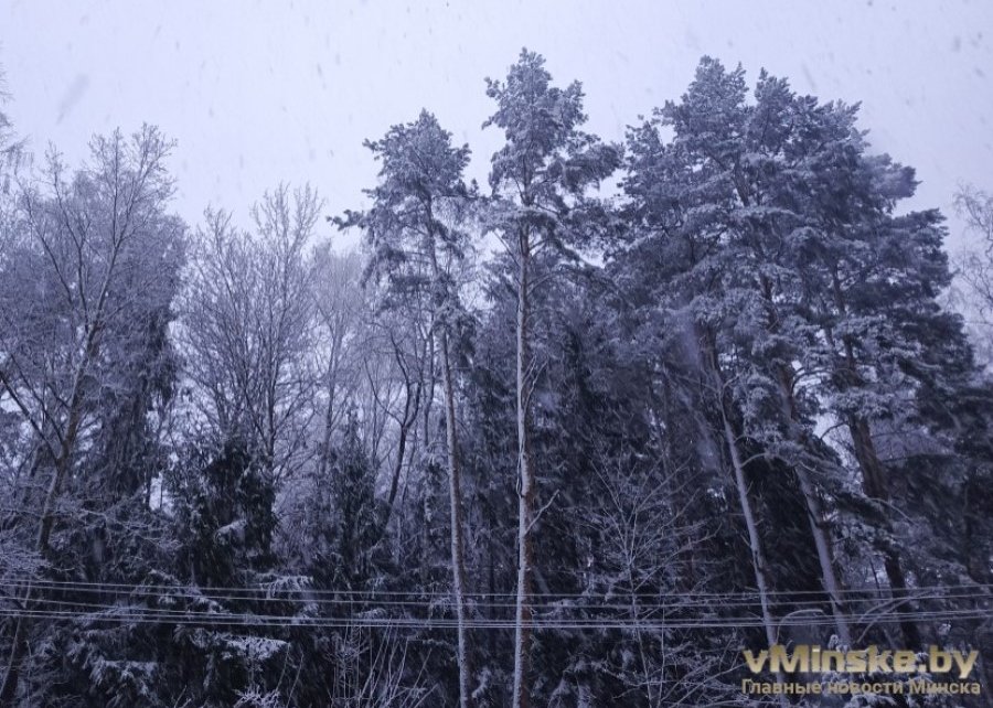 Будет гололед и слабые туманы. Погода на неделю с 25 по 30 ноября