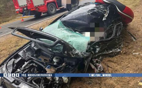 В Борисовском районе в аварии погиб водитель