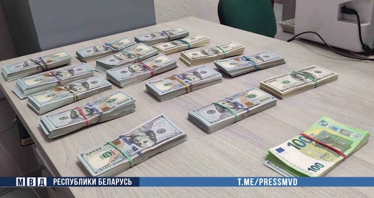 В Воложинском районе оперативно раскрыта кража 180 тысяч долларов у пенсионера