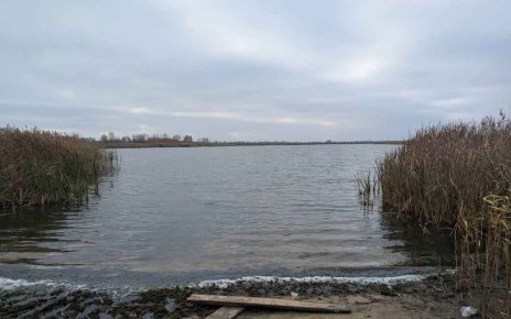 В Могилёвской области погиб рыбак