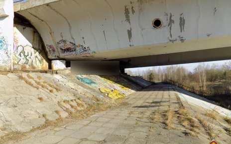 Жестокое убийство в Бобруйске – результаты экспертиз помогли воссоздать обстоятельства дела