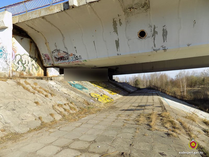 Жестокое убийство в Бобруйске – результаты экспертиз помогли воссоздать обстоятельства дела