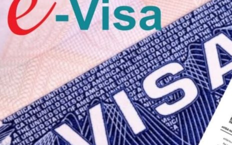 E-visa, ETA, e-Arrival Card: что это такое и в чём отличие от обычной визы?