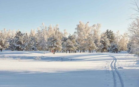 На гольф-поле под Минском открыли бесплатную лыжную трассу