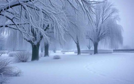 Как долго в Беларуси продержится морозная погода, рассказали в Белгидромете