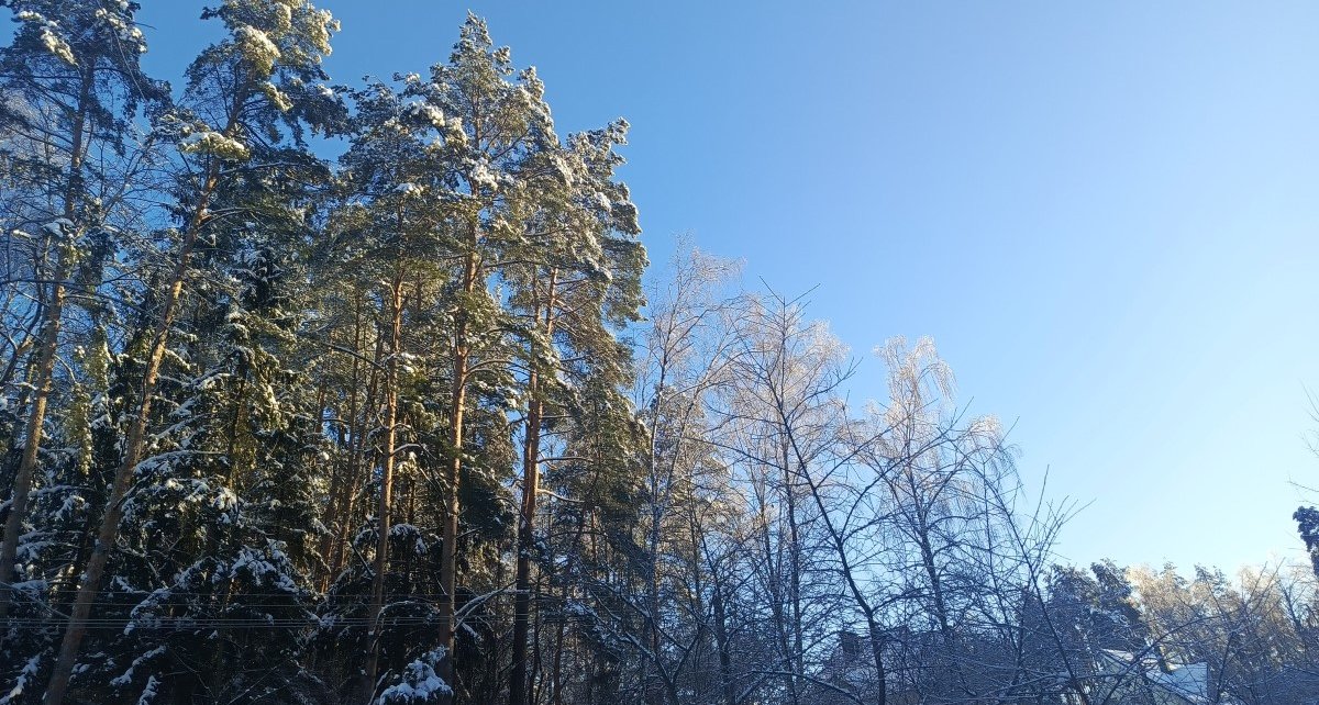После сильных морозов в Беларусь возвращается оттепель. Прогноз погоды с 3 по 8 февраля