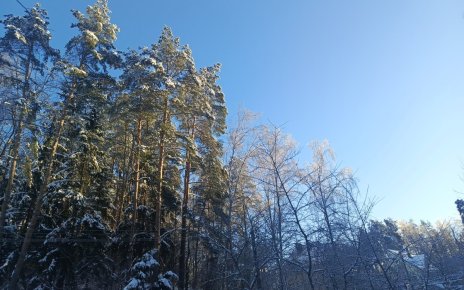 После сильных морозов в Беларусь возвращается оттепель. Прогноз погоды с 3 по 8 февраля