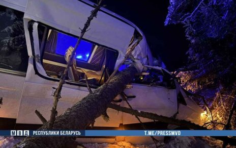 На Минщине авария с маршруткой из-за упавшего дерева