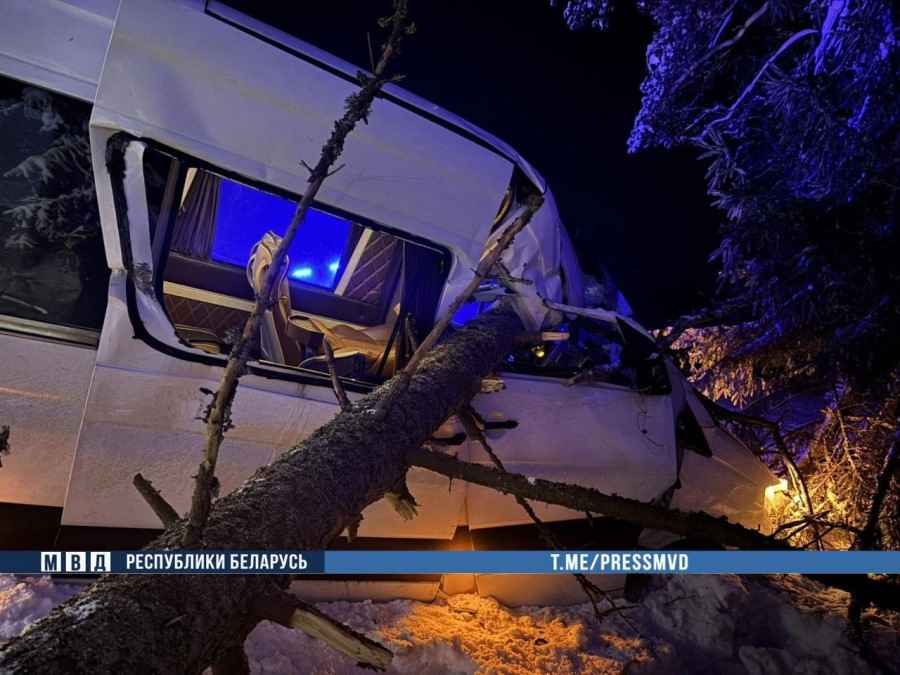 На Минщине авария с маршруткой из-за упавшего дерева