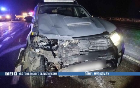 На трассе «Минск-Гомель» в Буда-Кошелевском районе погиб пешеход