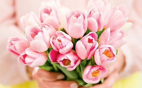 По чем цветы к 8 марта? Присмотрелись к ценам