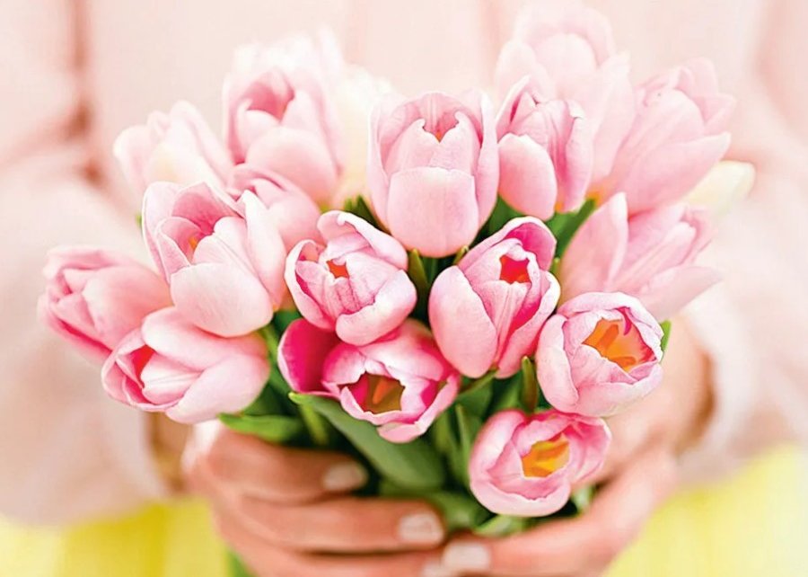 По чем цветы к 8 марта? Присмотрелись к ценам