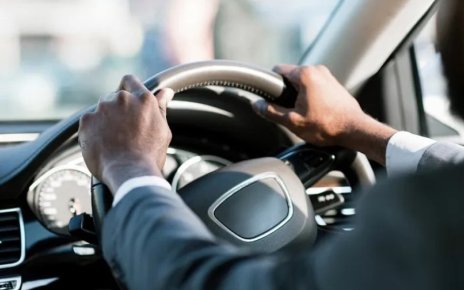 В Минской области планируют внедрить системы предупреждения водителей о животных на дороге