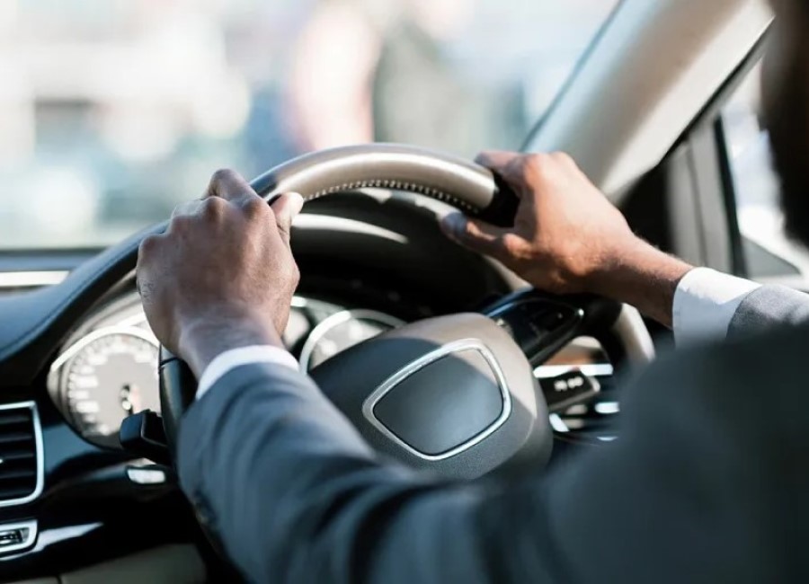 В Минской области планируют внедрить системы предупреждения водителей о животных на дороге