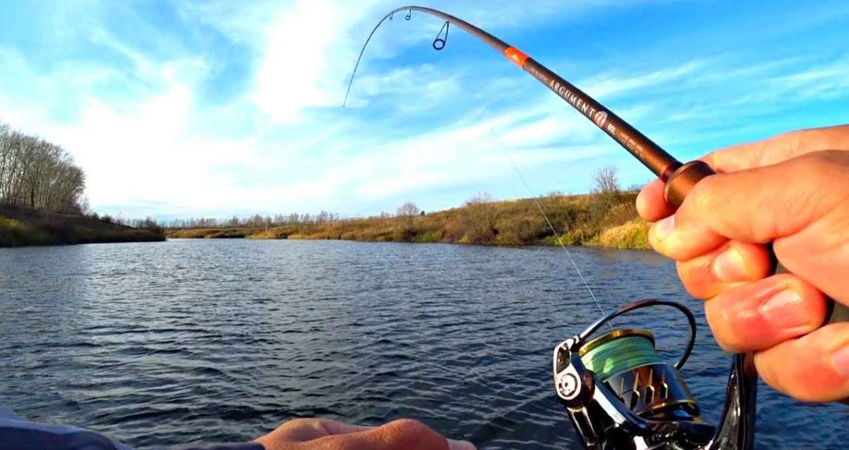 В Беларуси с 15 апреля вводится запрет на ловлю судака