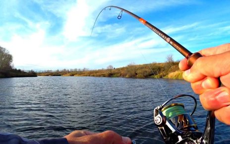 В Беларуси с 15 апреля вводится запрет на ловлю судака