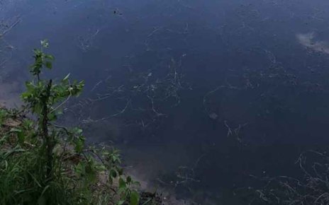 В Мозырском районе подросток утонул в запрещённом для купания месте
