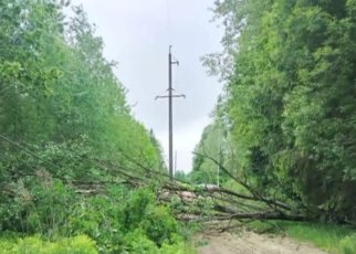 После ураганного ветра в Беларуси сотни населенных пунктов остались без света, энергетики борются с последствиями