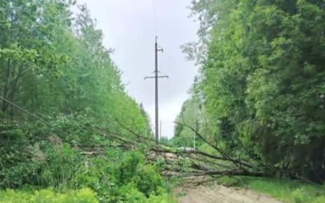 После ураганного ветра в Беларуси сотни населенных пунктов остались без света, энергетики борются с последствиями