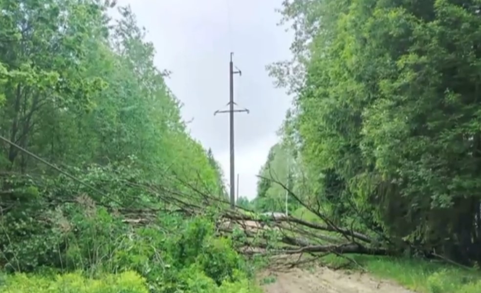 После ураганного ветра в Беларуси сотни населенных пунктов остались без света, энергетики борются с последствиями