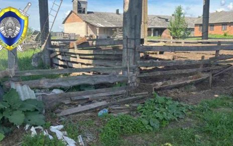 в Костюковичском районе отец случайно ранил сына из ружья