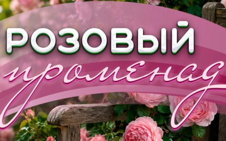 В Ботаническом саду пройдут экскурсии с куратором коллекции роз