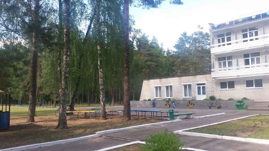Сколько стоит детский лагерь и кто может рассчитывать на льготы в 2026 году? Сколько стоит детский лагерь и кто может рассчитывать на льготы в 2026 году?