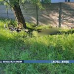 В Червенском районе погиб мотоциклист, врезавшись в дерево