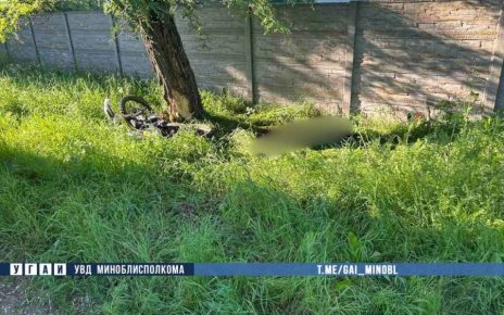 В Червенском районе погиб мотоциклист, врезавшись в дерево