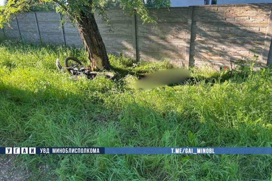 В Червенском районе погиб мотоциклист, врезавшись в дерево