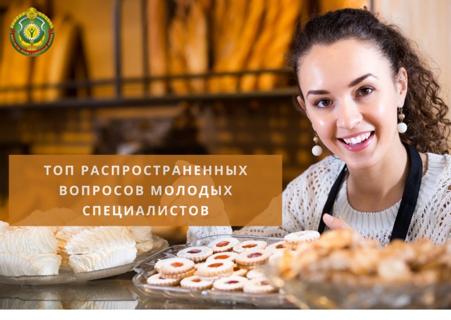 Что нужно знать молодому специалисту, даем ответы на самые популярные вопросы