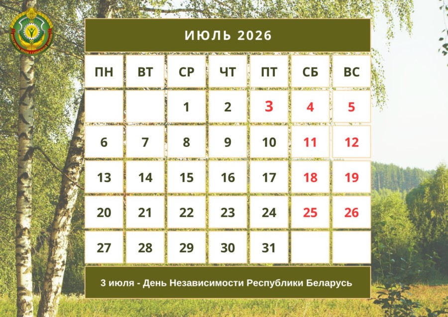 Как будем работать и отдыхать в июле 2026 года Как будем работать и отдыхать в июле 2026 года