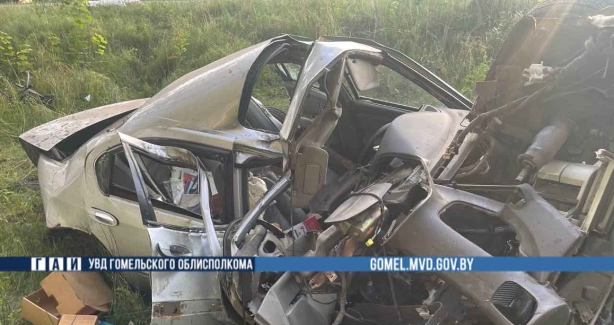 В Жлобинском районе погиб водитель после съезда в кювет