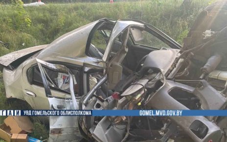 В Жлобинском районе погиб водитель после съезда в кювет