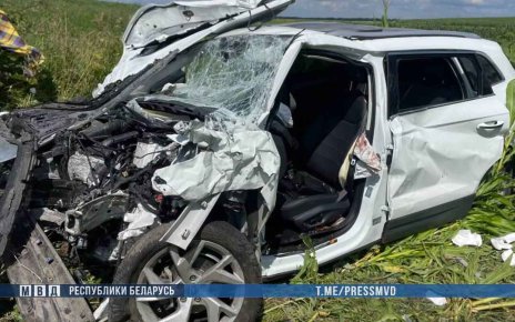 Смертельное ДТП на трассе М-8 в Гомельской области: погибла пассажирка, семеро пострадали
