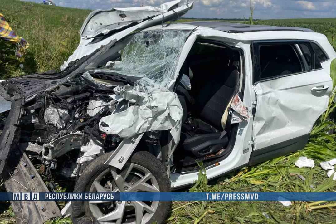 Смертельное ДТП на трассе М-8 в Гомельской области: погибла пассажирка, семеро пострадали