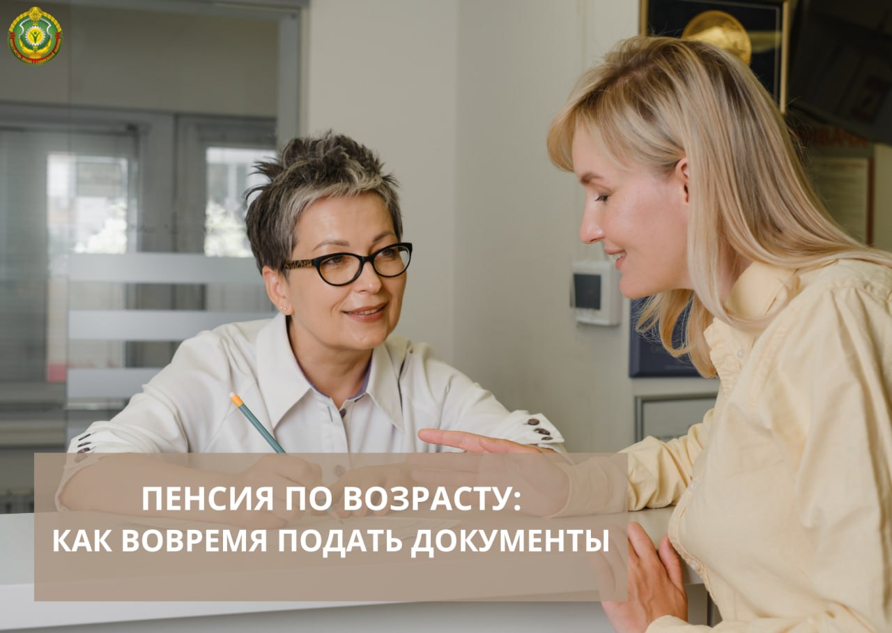 Пенсия по возрасту без задержек: когда подавать заявление и что должен сделать работодатель