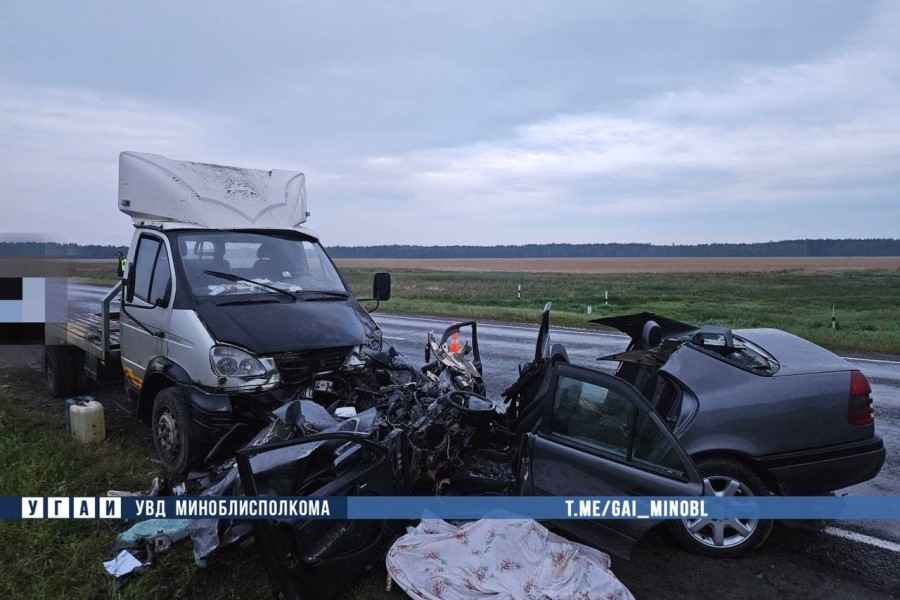 В Солигорском районе в ДТП погибли два человека В Солигорском районе в ДТП погибли два человека