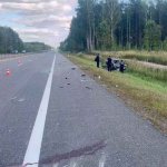 На трассе М-5 в Жлобинском районе в ДТП погибла пассажирка На М-5 в Жлобинском районе в ДТП погибла пассажирка