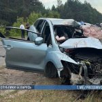 На Гомельщине в лобовой аварии погибли четыре человека, среди них двое детей (обновлено) На Гомельщине в лобовой аварии погибли три человека, среди них и ребенок