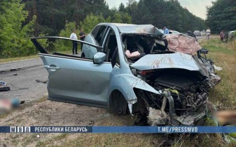На Гомельщине в лобовой аварии погибли три человека, среди них и ребенок